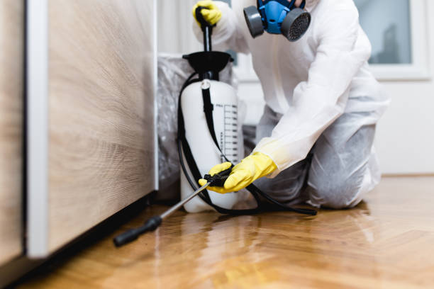 Best Mosquito Control Services  in Morrisville, NC