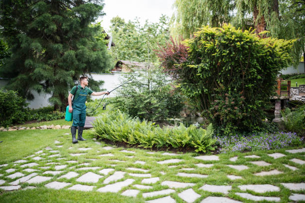 Best Best Pest Control Near Me  in Morrisville, NC