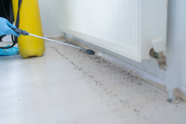 Best Exterminator Services  in Morrisville, NC